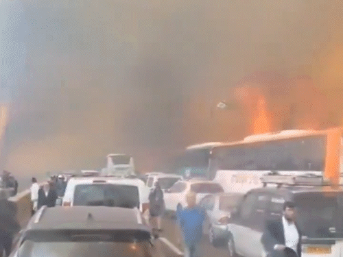 Israel jerusalem wildfire video update; army | eshtaol forest |