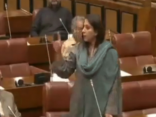 Pakistan mp controversy; palwasha khan vs india | babri masjid