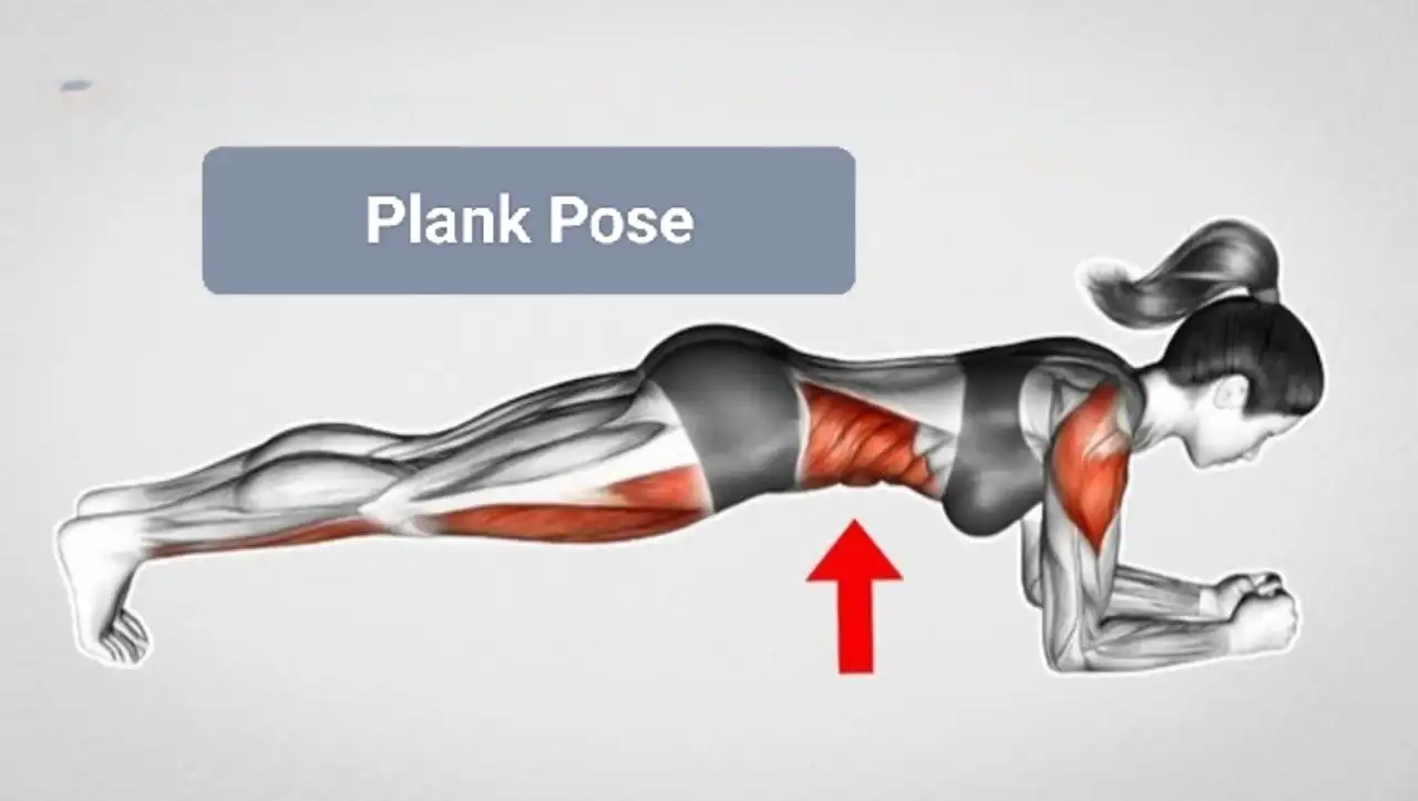 Plank Pose