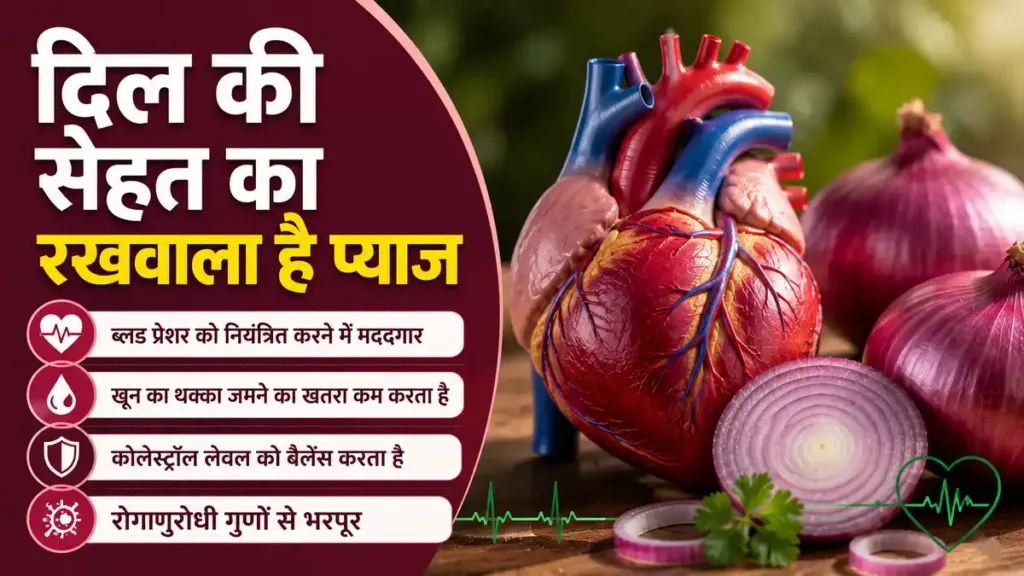 दिल की सेहत का रखवाला है प्याज