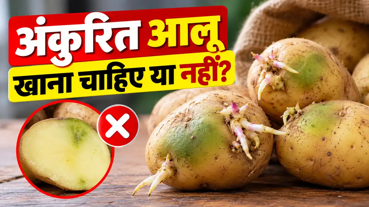 अंकुरित आलू खाना चाहिए या नहीं