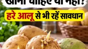 अंकुरित आलू खाना चाहिए या नहीं?