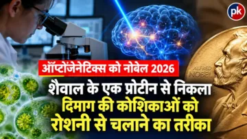 ऑप्टोजेनेटिक्स को नोबेल 2026: शैवाल के एक प्रोटीन से निकला दिमाग की कोशिकाओं को रोशनी से चलाने का तरीका
